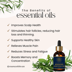 The Essence of Elevate Rosemary Essential Oil