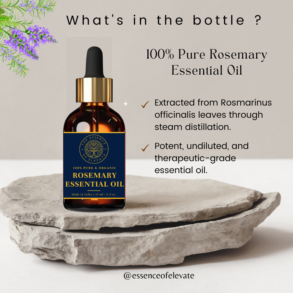 The Essence of Elevate Rosemary Essential Oil