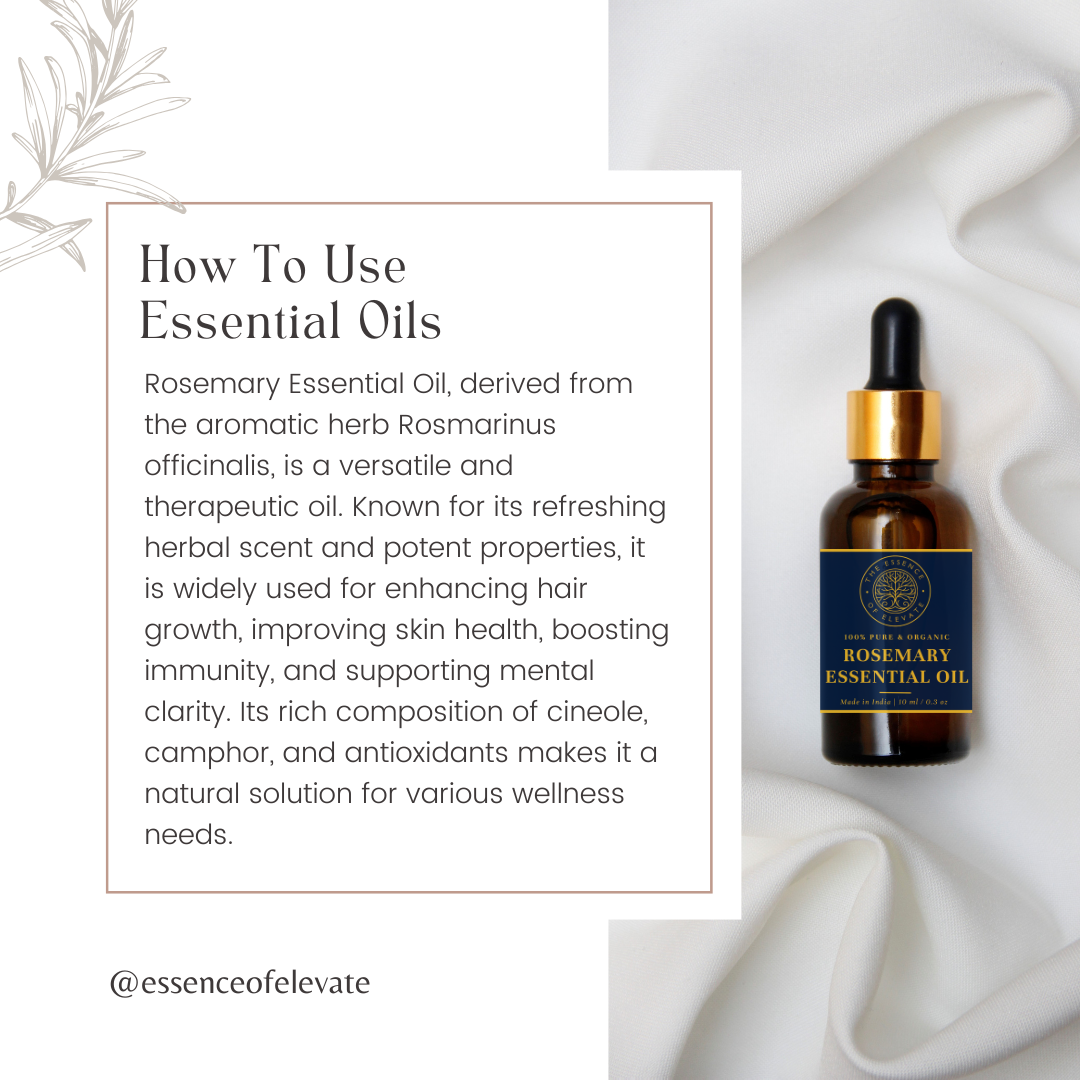 The Essence of Elevate Rosemary Essential Oil