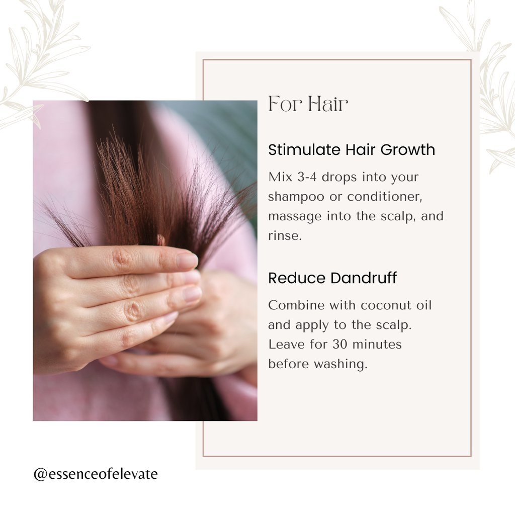 The Essence of Elevate Rosemary Essential Oil