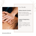 The Essence of Elevate Rosemary Essential Oil