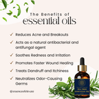 The Essence of Elevate Tea Tree Essential Oil