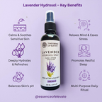 The Essence of Elevate Lavender Hydrosol