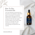 The Essence of Elevate Tea Tree Essential Oil
